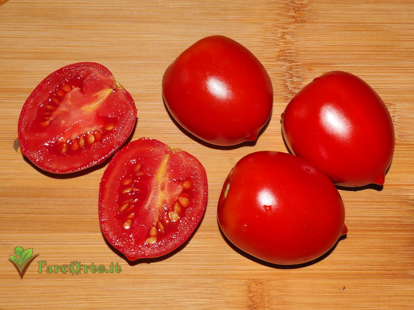 Pomodoro Piennolo di Barano d'Ischia 4